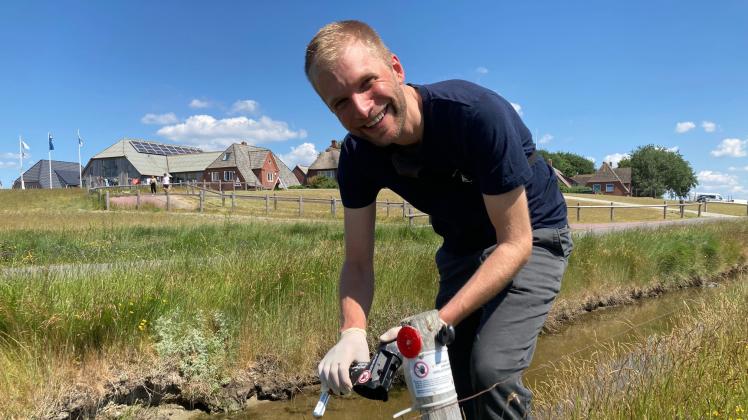 Ben Ratten Vogelschützer fangen mit neuen Fallen Ratten auf Hallig Hooge