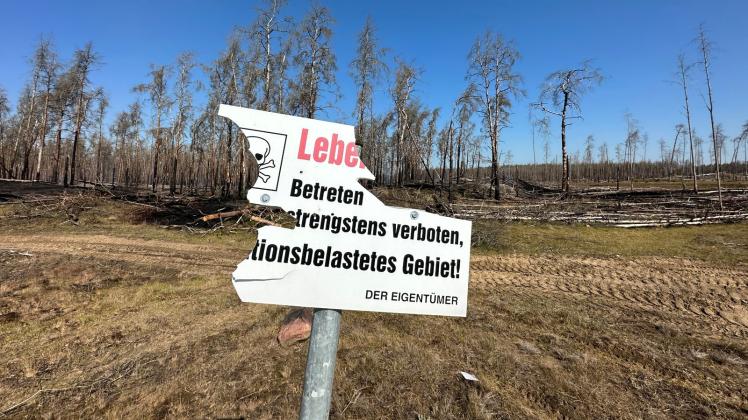 Waldbrandgebiet bei Lübtheen - Lage stabil
