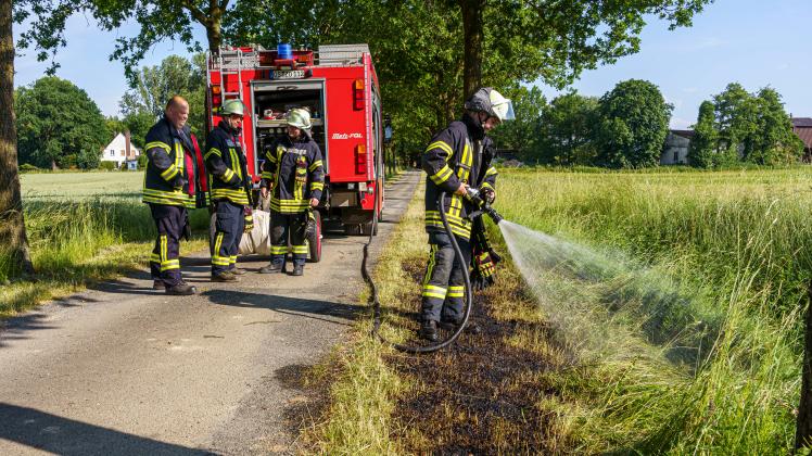 Feuer auf Grasfläche: Helfer konnten eine Ausbreitung verhindern.