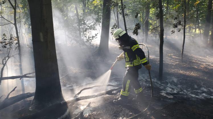 Am Freitagabend brach ein Feuer aus im Waldgebiet Kunkheide zwischen Ankum und Bersenbrück.