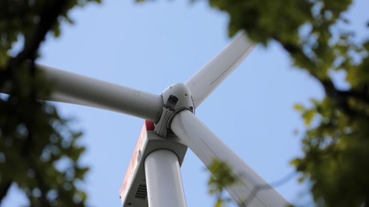 Bei Groß Warnow an der A14, wo jetzt noch der Kiefernwald steht, ist ein Windpark geplant. 