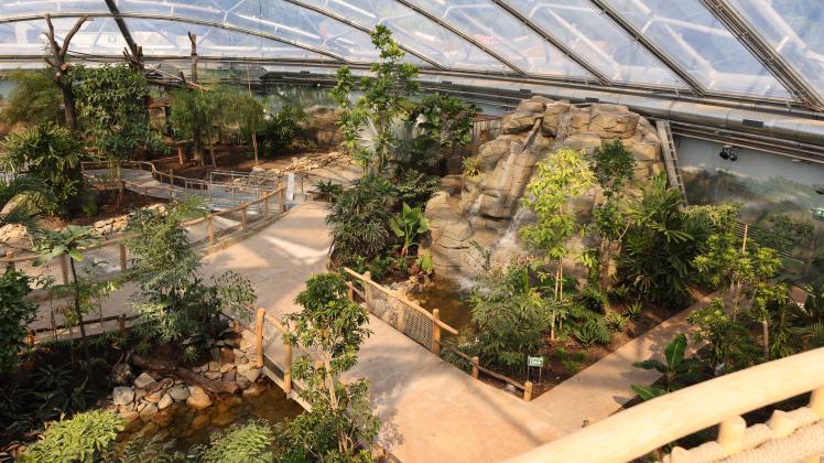 Allwetterzoo Münster ADVERTORIAL_Allwetterzoo Münster_Meranti-Halle