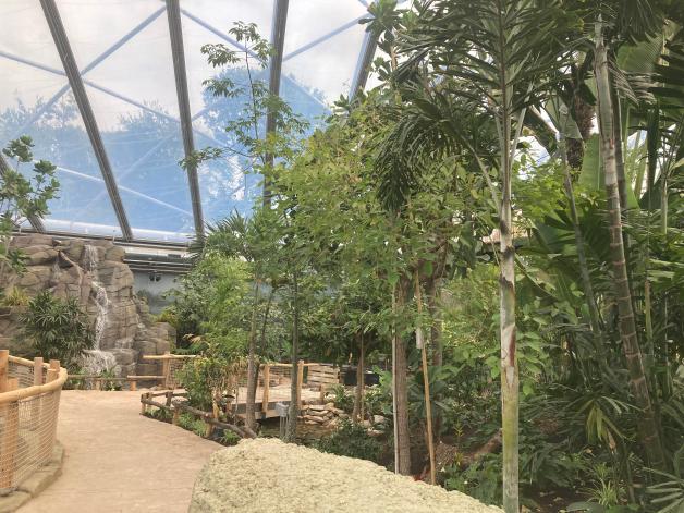 Die Meranti-Halle vermittelt den Besucherinnen und Besuchern einen tropischen Flair.
