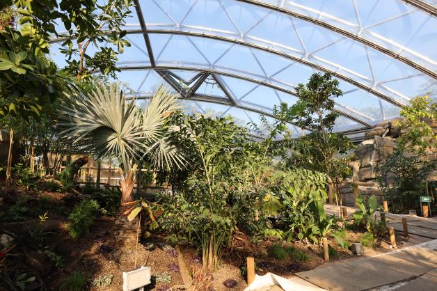 Die Bepflanzung der neuen Halle wurde gemeinsam mit dem Botanischen Garten der Uni Münster geplant.