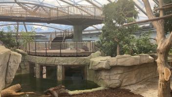 ADVERTORIAL_Allwetterzoo Münster_Meranti-Halle