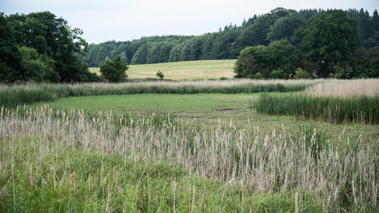 Kreis Plön Wer hat in Teichen in Lammershagen Wasser abgelassen? SHZ