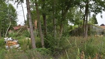 Auf dem Gelände der alten Gärtnerei auf der Krösnitz sollten jetzt eigentlich schon Wohnwagen stehen. Doch der Kaufvertrag zwischen Investor und Eigentümergemeinschaft kam nicht zustande. 