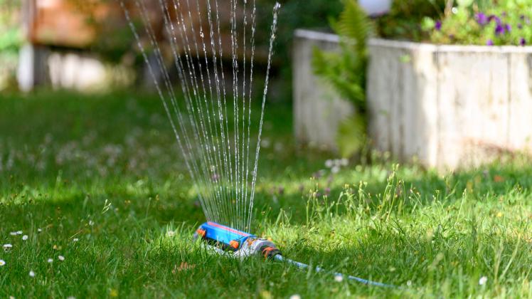 Wassersprenger im Garten. Da sich Wetterextreme in Zukunft häufen werden, wird Wasserknappheit ein immer ernsteres Thema