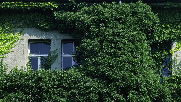 eibern Custodia per libri imbottita in cotone con motivo geometrico giallo