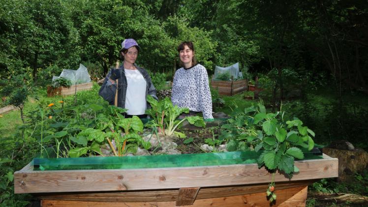 Kulturgarten Pinneberg Gärtnern für jeden, der Lust hat