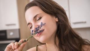 Kochen mit Lavendel