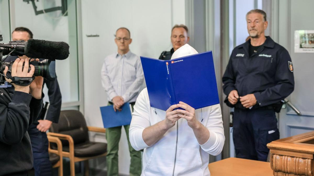 AutoAttacke von HenstedtUlzburg Fahrer spricht von Tunnelblick