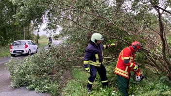 16.35 Uhr Alarm für die Regionale Führungsstelle Koldenbüttel: Zwischen der Gemeinde und Ramstedt war ein Baum auf die Straße gestürzt. Mit Kettensägen war das Hindernis binnen 20 Minuten beseitigt. 