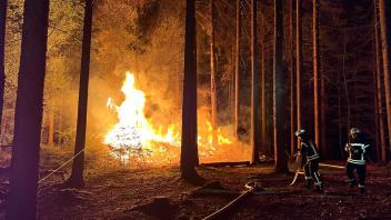 In einem Wald bei Bippen brannte ein großer Holzstapel.