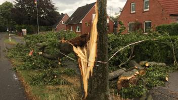 In der Emdener Straße, in Aschendorf hat Sturmtief Poly einen Baum zerstört, der dann seinerseits eine Straßenlaterne mitriss.