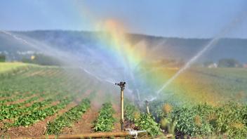 13.6.2023 künstlicher Regen Künstliche beregnung von Gemüsefeldern bei Heidelberg in Nordbaden. Die immer öfter auftrete