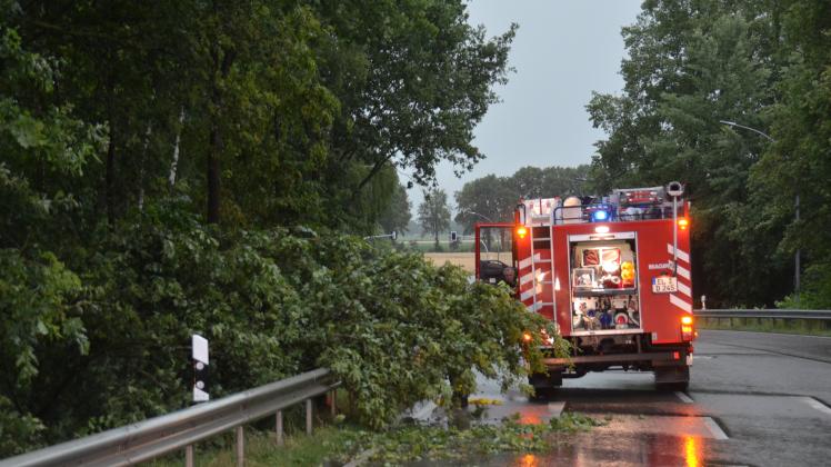 An der Ulanenstraße beseitigten Einsatzkräfte der Feuerwehr Altenlingen mit einer Kettensäge eine aus einem Baum gerissene Astgabel.
