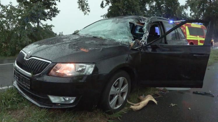 Ast durchbricht Frontscheibe - Unwetter über Oldenburg und Delmenhorst