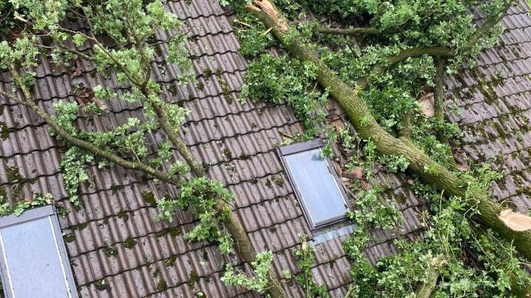 Ein Baum stürzte auf das Dach dieses Wohnhauses in Stavern