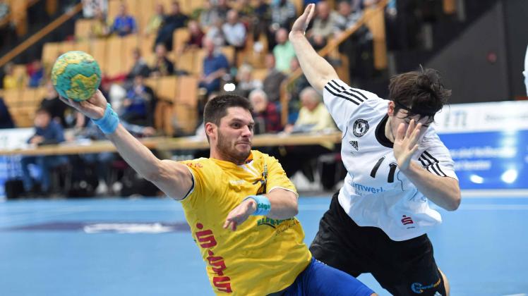 Darum kehrt Daniel Finkenstein zu Mecklenburger Stieren zurück SVZ