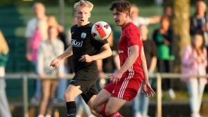 GER, Regionalliga Nord: Testspiel Union Lohne vs SVM