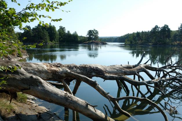 Perfekt für die Sommerferien: In Schweden gibt es viele Seen und Flüsse. So wie den Sjöboda Kanal in Vänersborg.