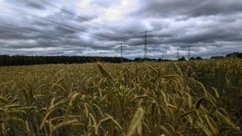 Dunkle Gewitterwolken über Getreidefelder in Schleswig-Holstein *** Dark storm clouds over grain fields in Schleswig Hol