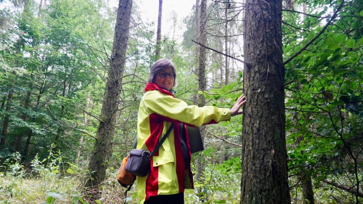 Wibeke Schmidt von den Niedersächsischen Landesforsten bei der Baumkontrolle. Befallene Bäume möglichst früh zu erkennen und aus dem Wald zu schaffen, sei wichtig um weitere Käferplagen zu verhindern.