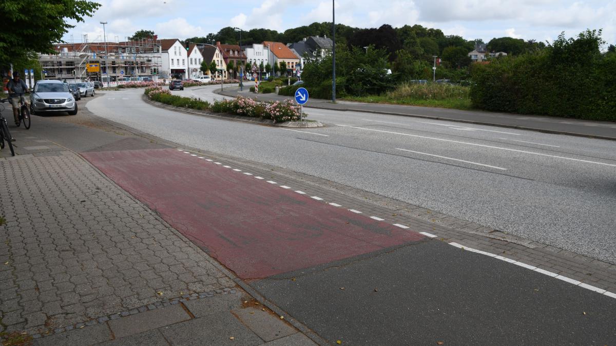 Umfrage Das wünschen sich die Bürger für den Steindamm SHZ