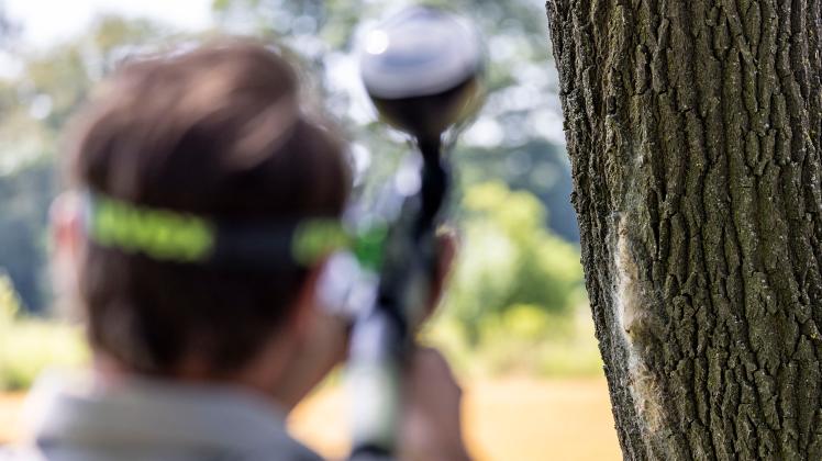 Paintball-Gewehre im Einsatz gegen Eichenprozessionsspinner