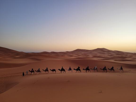 Eine Karawane setzt ihren Weg in der Sahara fort. Aufgenommen von Julia Skwar in Marokko. Julia Skwar