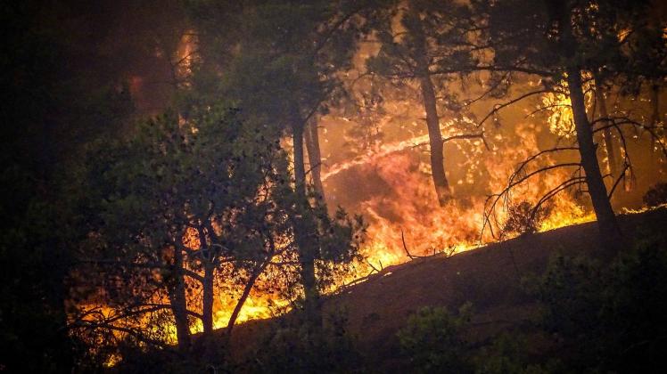 Waldbrände auf Rhodos