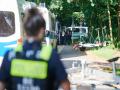 Möglicherweise Löwin im Süden von Berlin entlaufen
