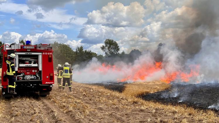 Einsatzübung Flächenbrand Göhlen