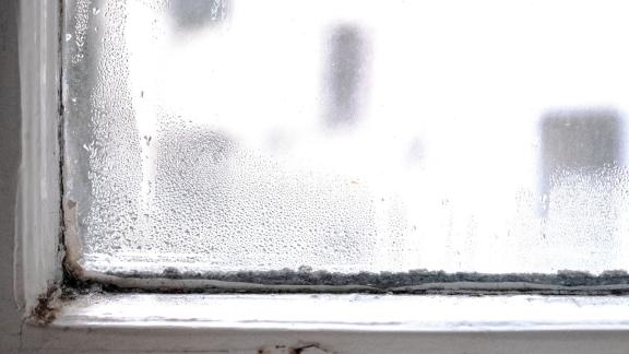 Schimmel am Fenster Schimmel am Fenster
