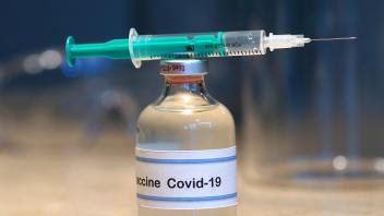 Spritze und Corona-Impfstoff syringe and Corona vaccine, Bundesrepublik Deutschland BLWS685647 *** Syringe and Corona Va