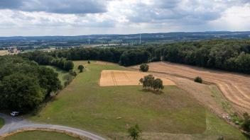 Stadt Osnabrück will in Bissendorf einen Hochwald pflanzen, um  Eingriffe am Limberg zu kompensieren