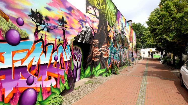 50 Meter lang ist das Graffiti, das nun Häuserwände am Gerberhof in Osnabrück ziert.