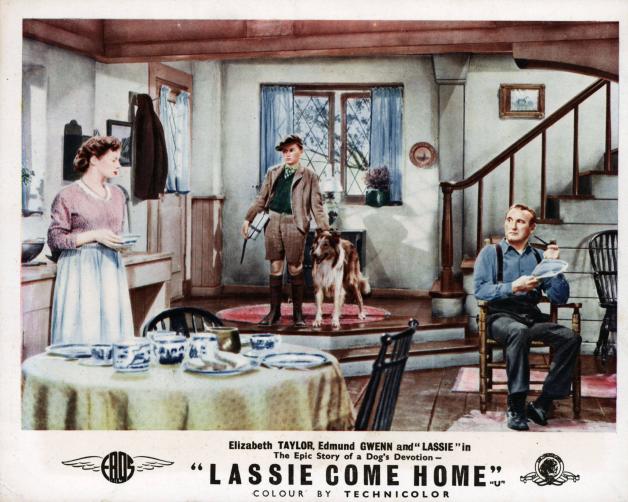 Die erste Lassie-Verfilmung stammt aus dem Jahr 1943 aus den USA und trägt den Titel: „Lassie Come Home.“ Auf Deutsch hieß der Film: „Heimweh“.