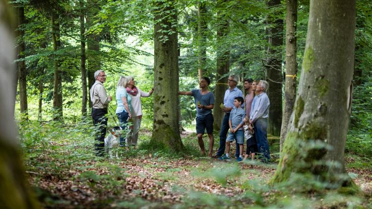 Interessierte können sich bei der Waldführung durch den FriedWald Bramsche-Osnabrücker Land über die Bestattung in der Natur informieren