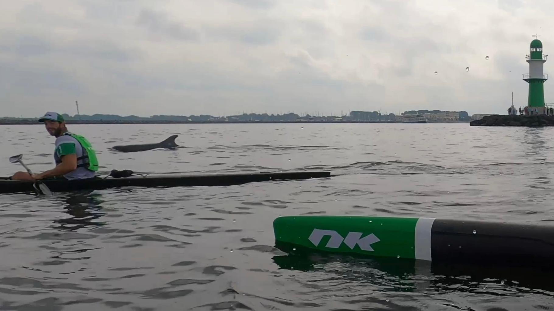 Gordan Harbrecht wird in Warnemünde von einem Delfin überrascht