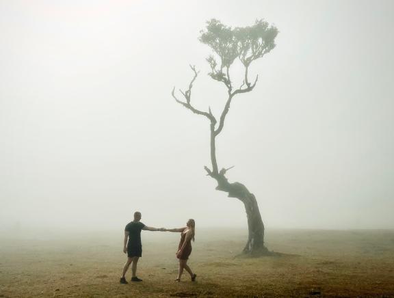 Ein Paar verweilt im nebligen Ambiente von Madeira vor einem einsamen Baum. Fotografiert von Paulette Hempelmann. Paulette Hempelmann