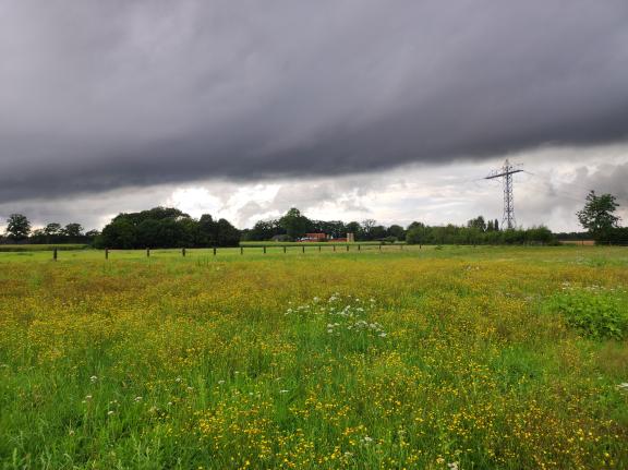 Der Sommer in Bohmte im Osnabrücker Land Marion Witte