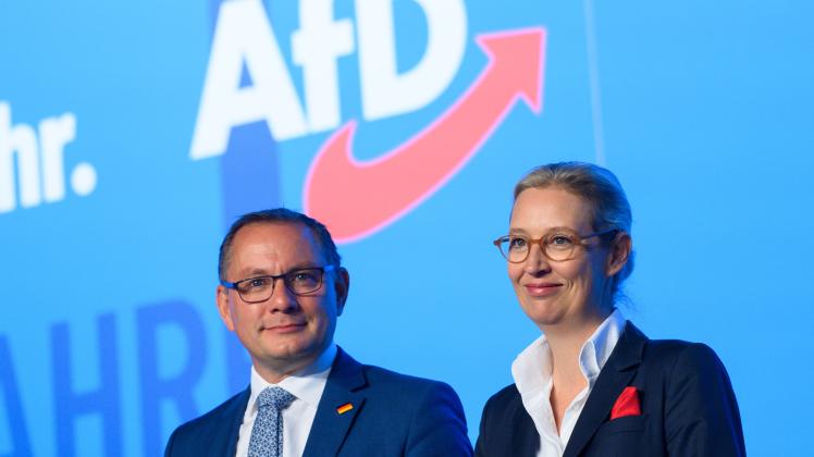 Europawahl 2024: Das Steht Im Wahlprogramm Der AfD | NOZ