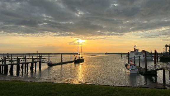 Langeoog Natalia Niehoff