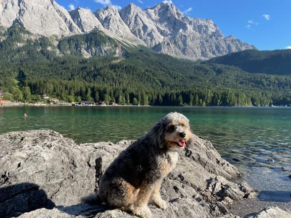 Eibsee am Fuße der Zugspitze Elisabeth Schnieders