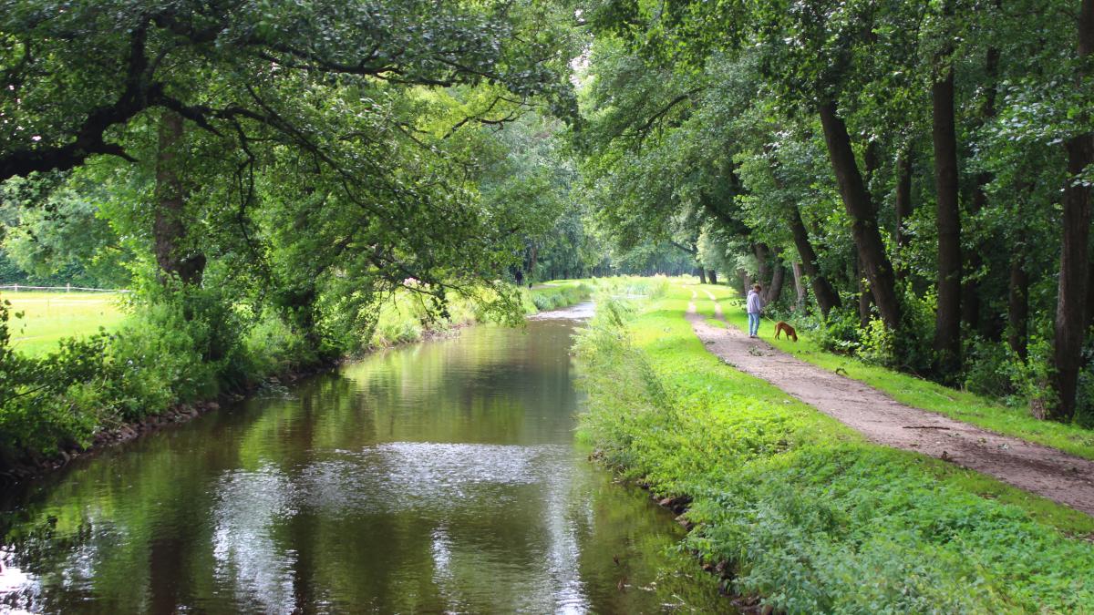Regen lässt Delmenhorster Delme rekordverdächtig anschwellen DKO