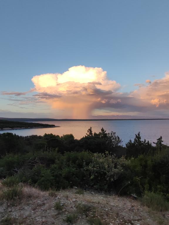 Die Insel Cres vor Kroatien Alice Graschtat