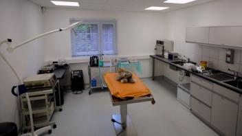Einblick in die neue Veterinärstation im Zoo Osnabrück: Moderne Einrichtung für Tiergesundheit