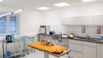 Von einem kleinen Praxisraum zur 200 Quadratmeter-Veterinärstation: Der Zoo Osnabrück hat eine neue Veterinärstation gebaut.